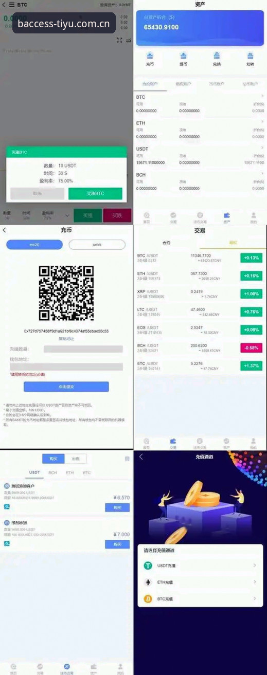B体育专业服务必备实用指南：从下载到安装的全流程技巧